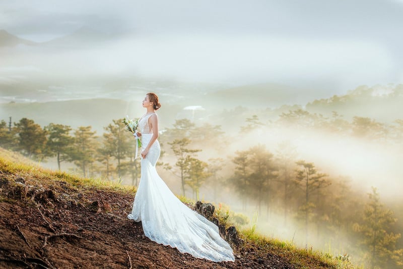 Bride Wedding Dress